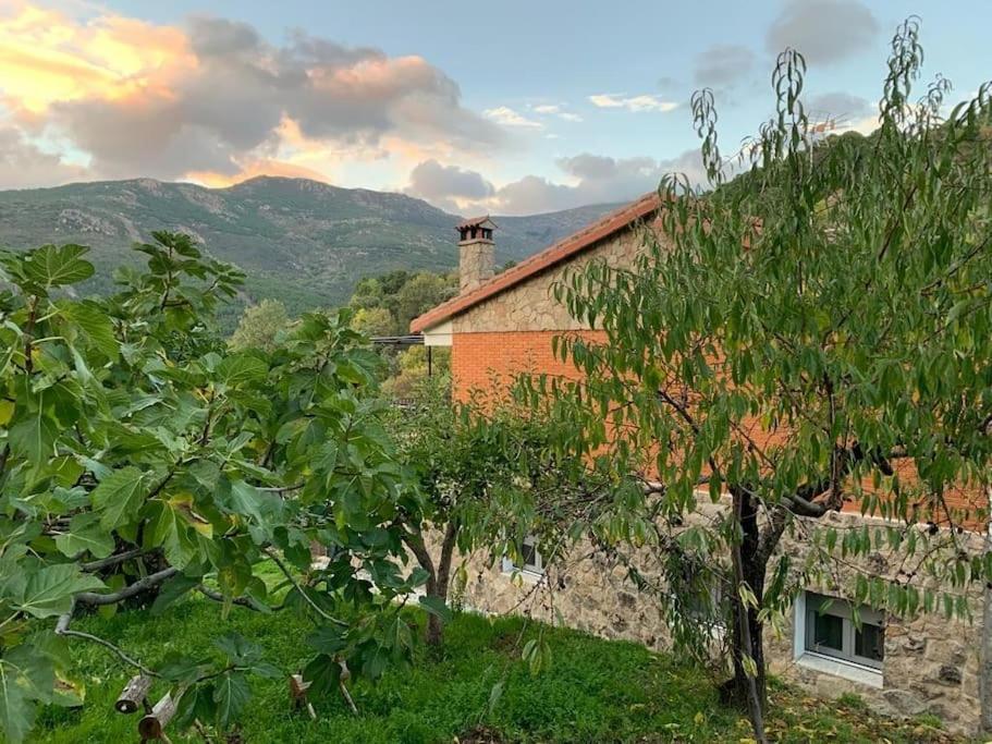 Casa Balta Villa อาบีลา ภายนอก รูปภาพ